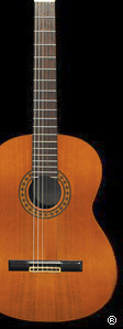 The Candlelight Guitarist® - ENTER