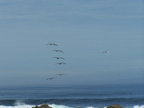 Ron Deutschendorf holding plaque